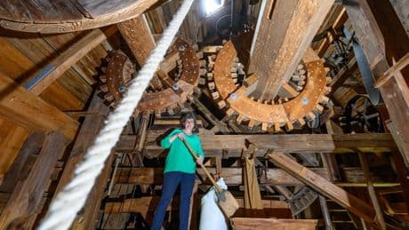 Mühlentag: Brandenburger Mühlen feiern Jubiläum