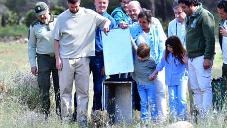 Broncano y su pareja, Silvia Alonso, participan en la suelta de dos cachorros de lince en Granada