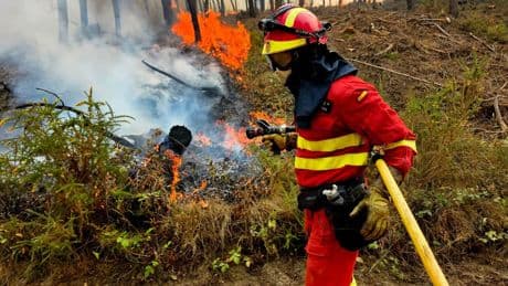 España acepta la ayuda de Países Bajos, Alemania, Francia, Italia y Eslovaquia por los incendios