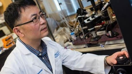 An experimental painkiller could be the key to solving the opioid epidemic