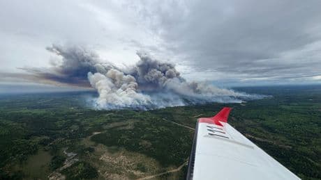 Canadian wildfire smoke expected to drift into US and harm air quality two years after New York engulfed by smog