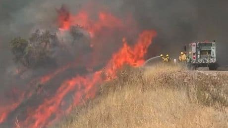 California'da orman yangınları 12 bin hektarlık alanı küle çevirdi