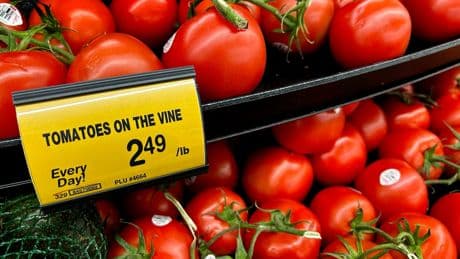 Tomatoes are set to jump in price as Trump slaps a 17% tariff on the grocery staple