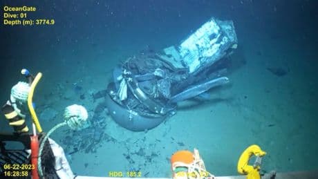 Billionaire heiress sues for £1m after trip on doomed Titan sub was cancelled when five people died in tragic implosion