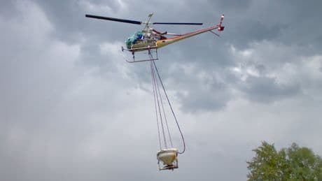 Am Rhein - Warum ein kaputter Heli zur Mücken-Plage führt