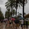 Unwetter auf Urlaubsinsel: Sturm und Regen sorgen für Chaos auf Mallorca