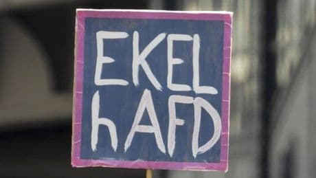 Die Grünen wollen AfD-Verbotsverfahren über Umweg anstoßen