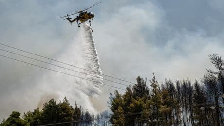Turquie, Grèce, Albanie: le sud de l'Europe en proie à une vague d'incendies
