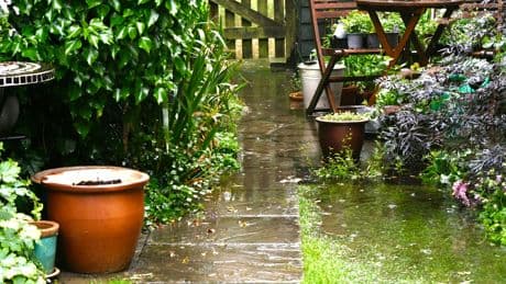 Im Garten: 4 Dinge sollten Sie nach jedem Regen machen