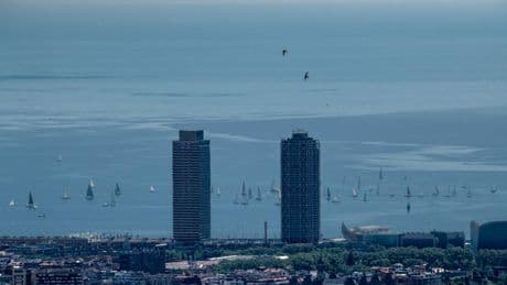 El vuelo de las golondrinas sobre Barcelona