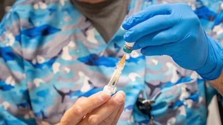 Sinkende Impfquote: USA erleben schlimmste Masern-Epidemie seit mehr als 30 Jahren