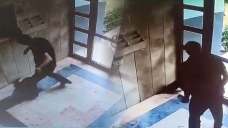 Başakşehir'de kediyi tekmeleyerek öldüren şüpheli gözaltına alındı