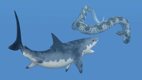 Meet The Largest Snake Ever — A Prehistoric 2,500-Pound Serpent With A 16-Inch Head And An Unexpected Diet