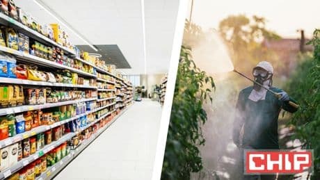 Hersteller gibt kaum Infos: Wichtiger Rückruf wegen Pestiziden gestartet