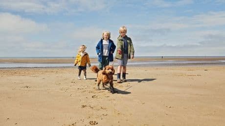 UK's most dog-friendly beach is sandy stretch with rock pools and dunes