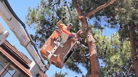 Yurttaşlardan GDZ Elektrik’e tepki:  Yangın çıkmadan önce neredeydiniz?