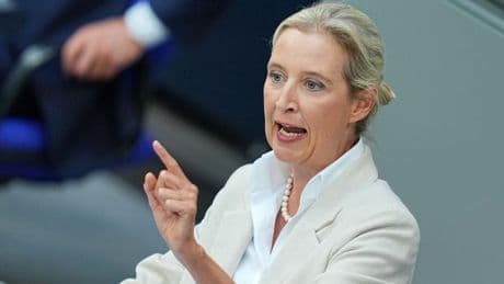 AfD und Linke legen in Baden-Württemberg kräftig zu – CDU und Grüne verlieren