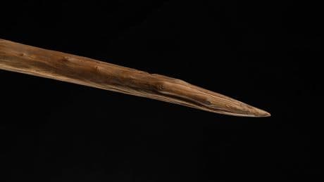 Ancient wooden spears found in Germany may have been wielded by Neanderthals, a new study suggests