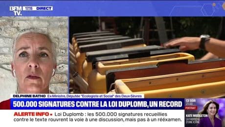 Loi Duplomb: pour Delphine Batho (Écologiste et Social), "c'est une loi d'empoisonnement alimentaire"