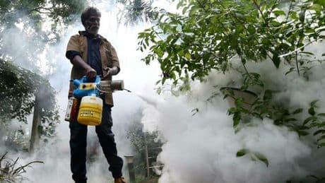 West Nile, è emergenza: «Casi triplicati in 7 giorni». Rezza: «Troppi decessi, qualcosa non torna nei dati in Campania»
