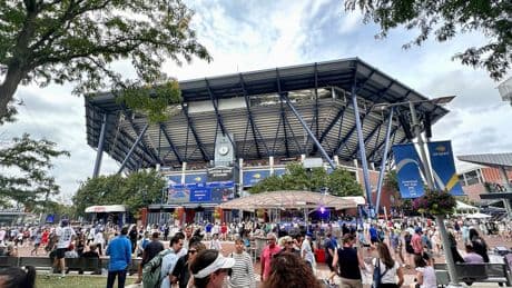 US-Open: Angst vor Insekten-Invasion – Tennis-Stars sollen Tiere töten