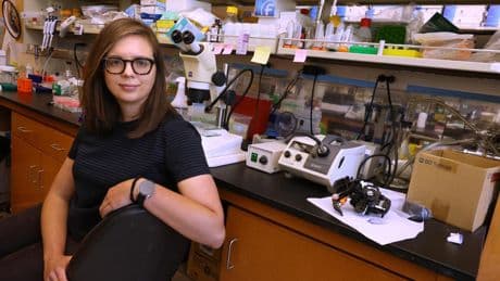 'A continual assault.' How UCLA's research faculty is grappling with Trump funding freeze