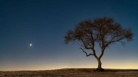 What Is The Very Bright ‘Star’ In The East? How To See Venus This Week