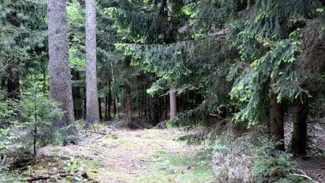 Staatsanwalt sicher - Techno! Drogen! 16-Jähriger stach immer wieder auf sie (21) ein
