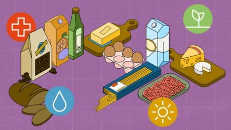True Pricing: Das kosten Brot, Eier und Milch wirklich