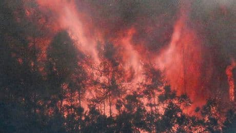 Fierce wildfire with 50ft-high flames ravaging Scots countryside