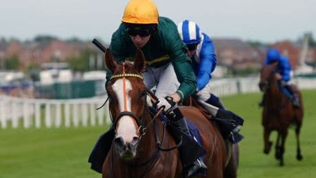 Newsboy's top TV tips on the opening day of Doncaster's St Leger meeting, plus selections for all of Thursday's five meetings