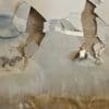 'Systemic failure': Botched insulation fitted in 30,000 homes