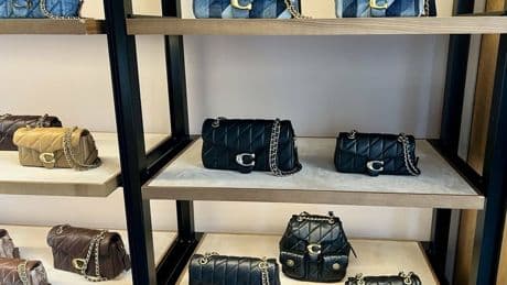 Coach, LVMH, Balenciaga… Des marques de luxe  accusées d’utiliser du cuir provenant de zones déforestées