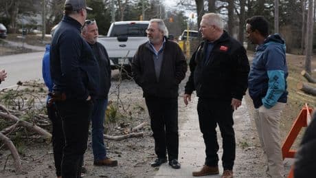 Ontario to provide ice storm recovery funding for businesses, municipalities