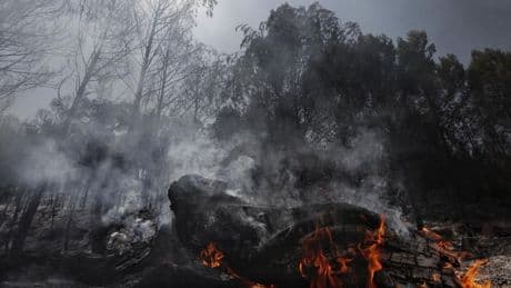 El Gobierno activa la fase de preemergencia ante los múltiples incendios de la península
