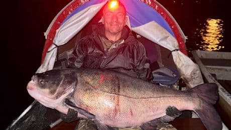 1,25 Meter lang und 50 Kilo schwer - Angler kämpft zwei Stunden mit riesigem Karpfen