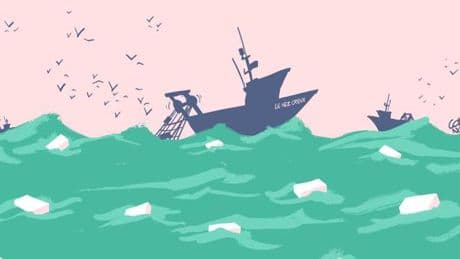 Dans la Manche, les « pêcheurs de cocaïne », alliés précieux du crime organisé