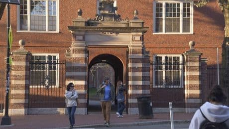 Una jueza declara ilegal la congelación de becas a Harvard del gobierno de Trump