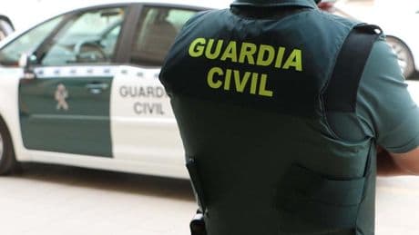 La Guardia Civil investiga la muerte de un gorrilla cuatro días después de ser agredido en Valencia