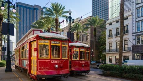 After my 30-year marriage ended, I moved to California. When it got too pricey, I built my dream life in New Orleans.