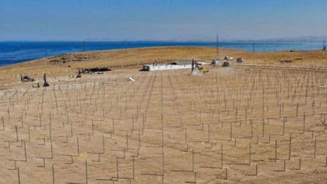 Van Büyükşehir'den 38.5 megavatlık santral
