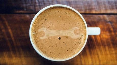 Baristalar sadece kahve mi yapar?