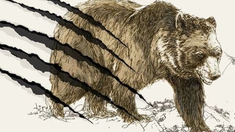 Alerta en Europa por los ataques de oso. ¿Y en España?