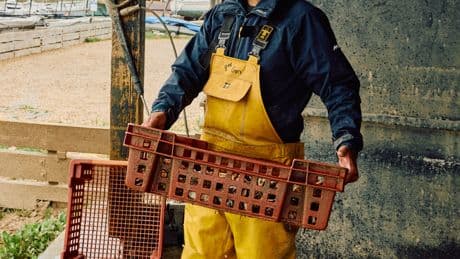 New Trade Deal Could Boost UK Food Exports to EU, Including Shellfish