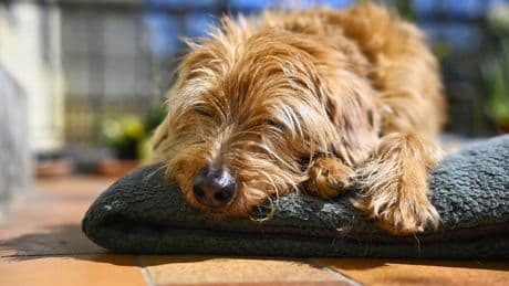 Wetter in Düsseldorf: Am Wochenende kommt der Sommer zurück