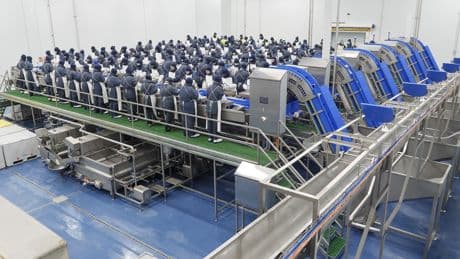 Profand logra el 'oro' pesquero al superar los 1.000 millones de facturación