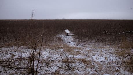 Krieg in der Ukraine: Starlink-Killer Kalinka: So will Putin die ukrainische Kommunikation stören