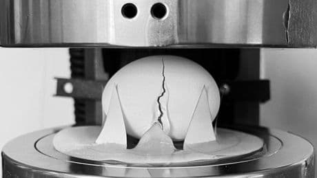 The Best Way To Drop An Egg So It Won’t Crack, According To Engineers