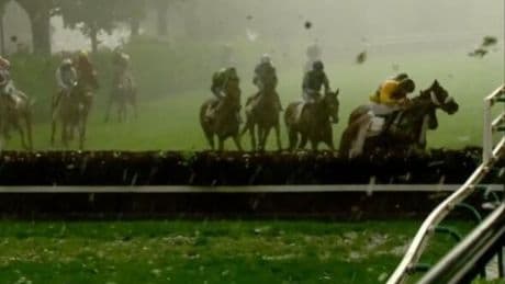 Horse race abandoned as jockeys hide for cover in wild scenes