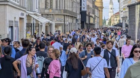Neue Zahlen: Jede vierte Person in Deutschland hat Einwanderungsgeschichte